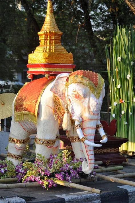 泰國大象象徵 食指彎曲意思